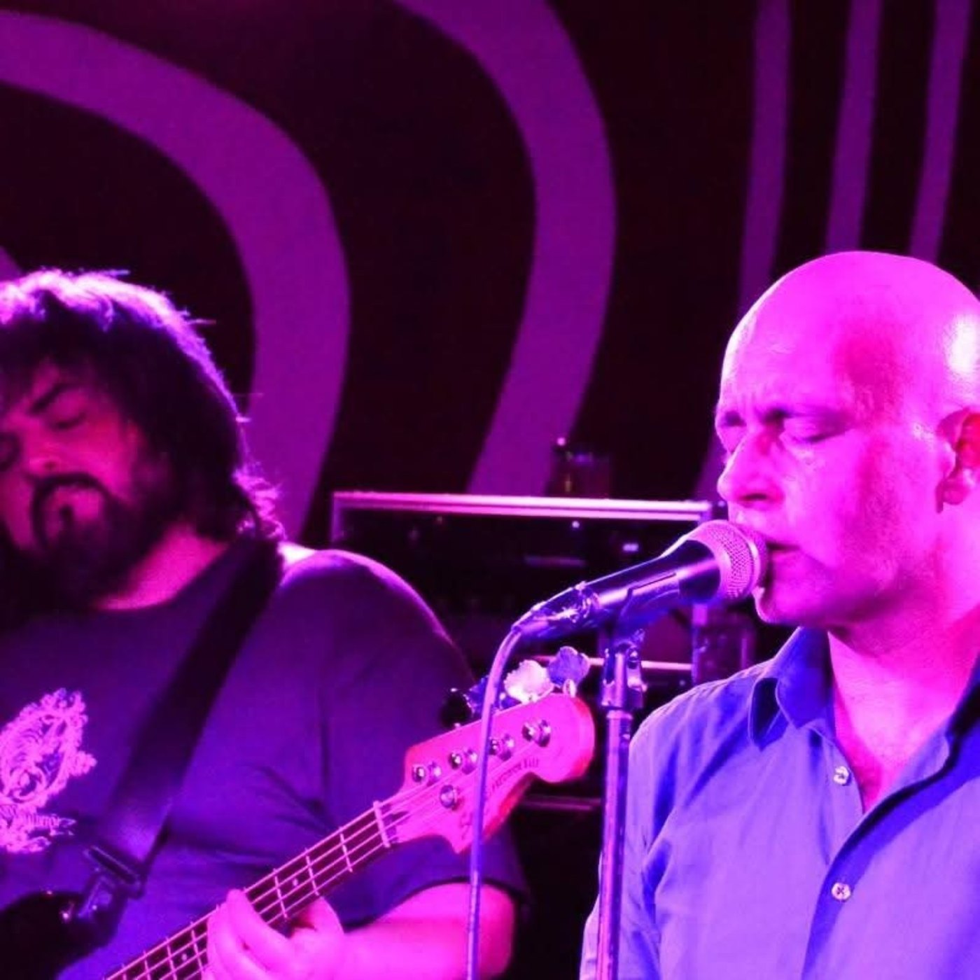 Músicos tocando en directo bajo luces magenta
